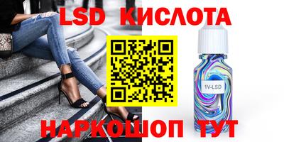 гашик Будённовск