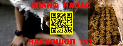 гашик Будённовск
