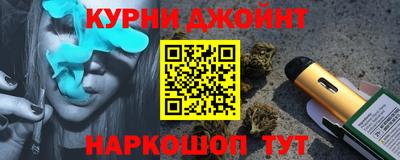 гашик Будённовск