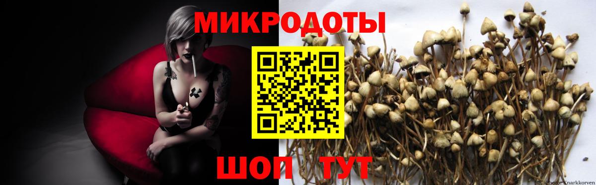 Псилоцибиновые грибы Psilocybine cubensis  где можно купить наркотик  Биробиджан  Вход с VPN 